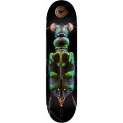 Powell Peralta BISS Tiger Beetle Skateboard Deck - 8.25 X 31.95"